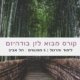 קורס מבוא לזן בודהיזם תל אביב